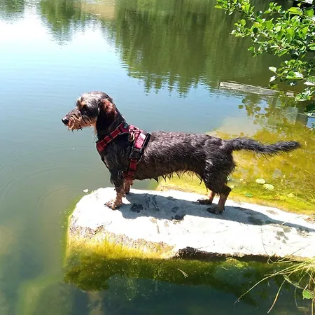 Haus Christof Private Naehe Woerthersee Und Ossiacher Apartment Agsdorf