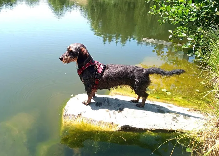 Haus Christof Private Naehe Woerthersee Und Ossiacher Lejlighed Agsdorf